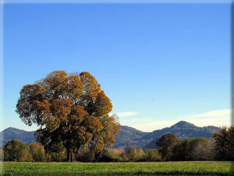 foto Paesaggi Autunnali tra le colline Fontesi